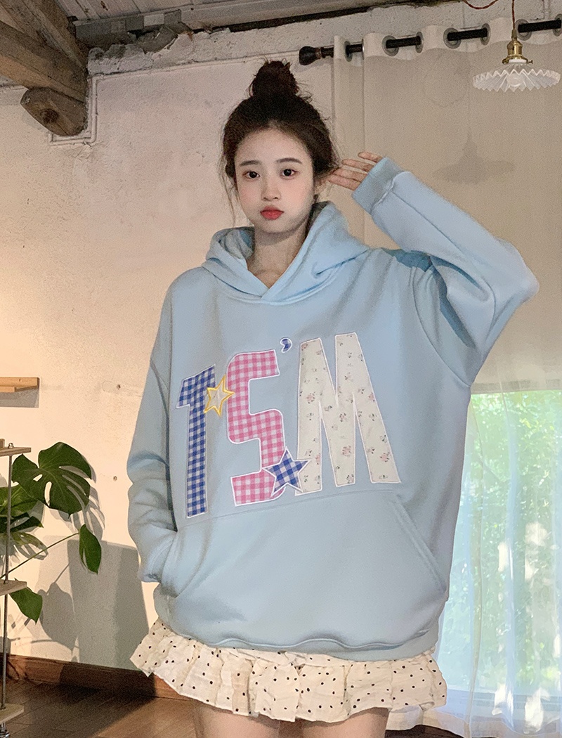 Autumn and winter hooded tops thick embroidery hoodie for women