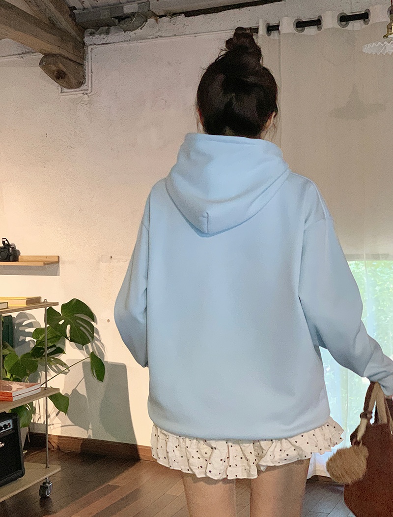 Autumn and winter hooded tops thick embroidery hoodie for women