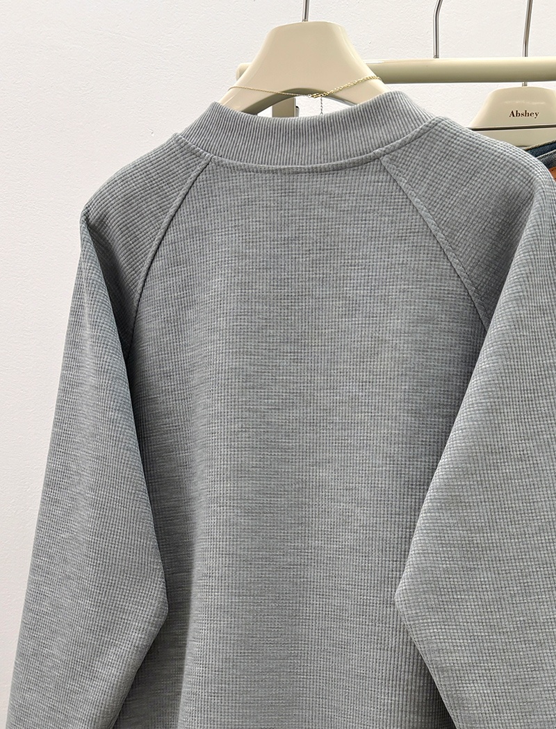 Complex milk silk tops spring and autumn hoodie for women