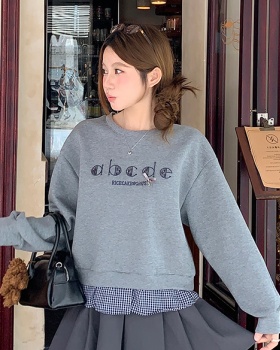 Pseudo-two embroidery hoodie loose Korean style tops