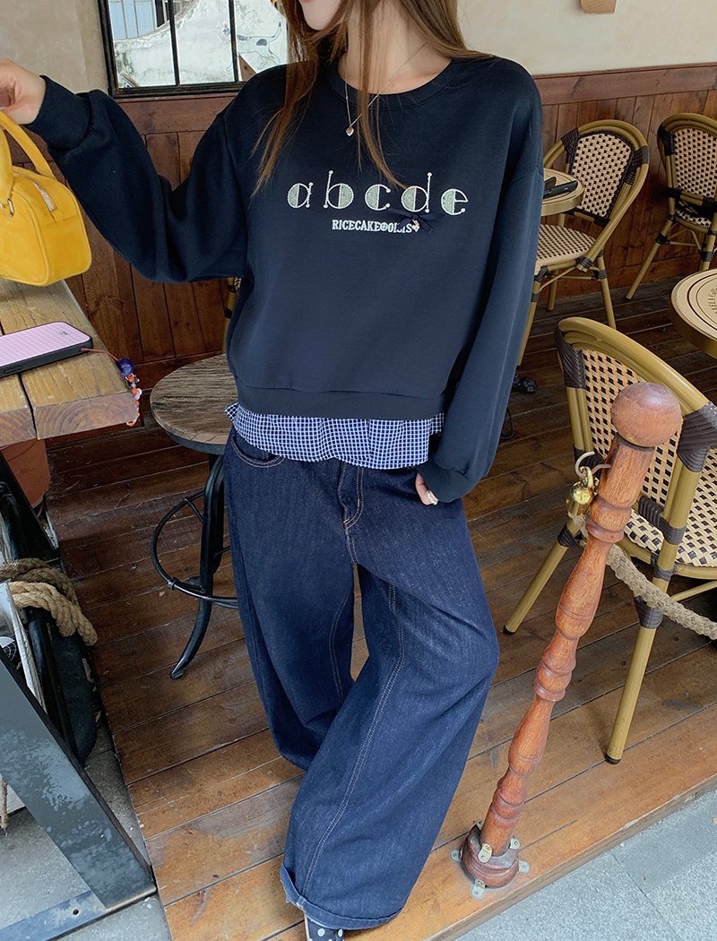 Pseudo-two embroidery hoodie loose Korean style tops