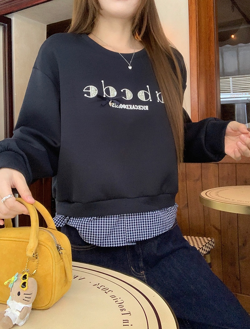 Pseudo-two embroidery hoodie loose Korean style tops