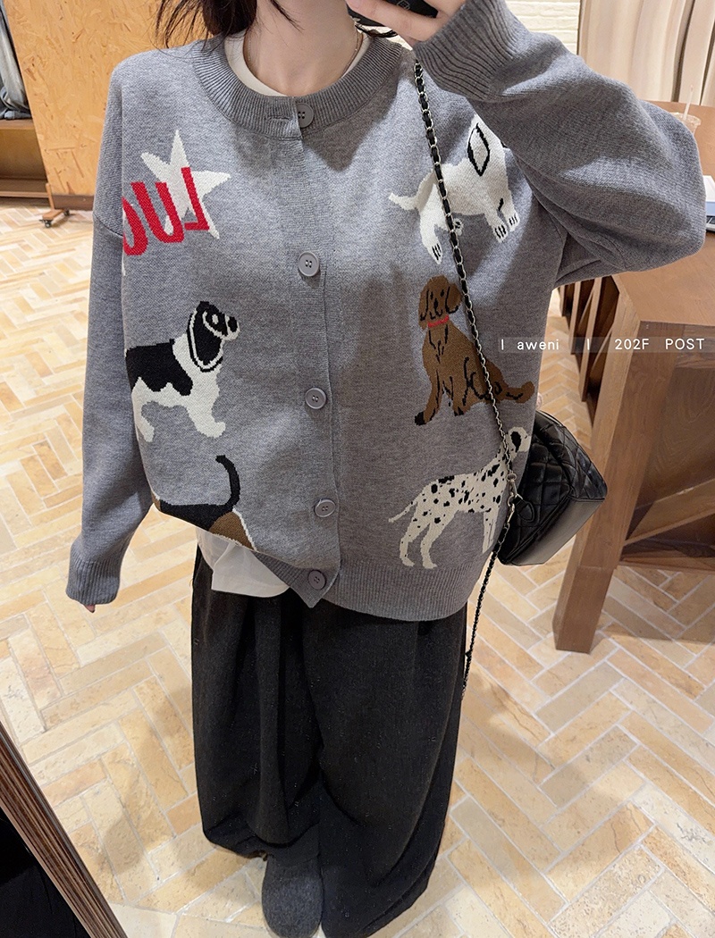 Long sleeve coat autumn and winter sweater for women