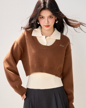 Long sleeve short sweater autumn and winter tops for women