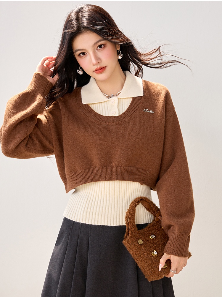 Long sleeve short sweater autumn and winter tops for women