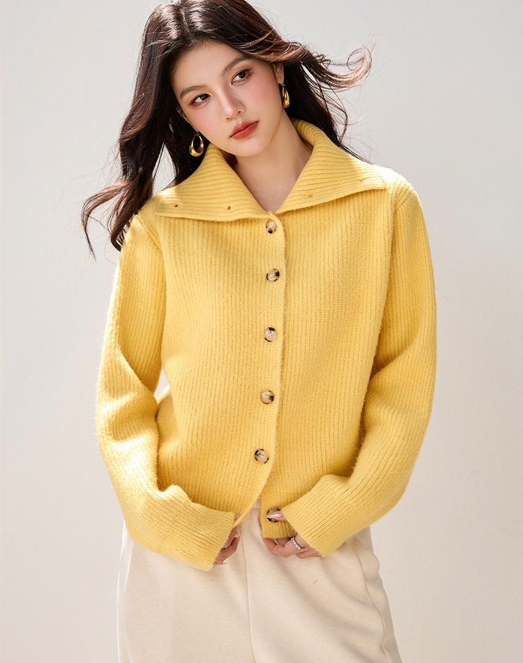 Loose high collar lapel sweater autumn and winter retro coat