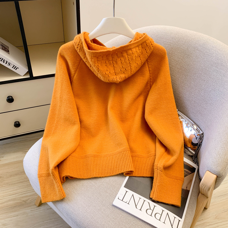 Western style fashion thick sweater hooded pure cardigan