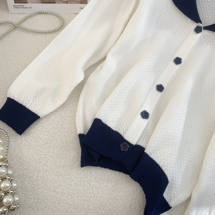 Autumn and winter tops France style sweater for women