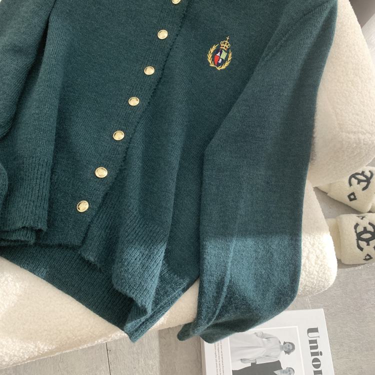 Embroidered simple coat long sleeve tops for women