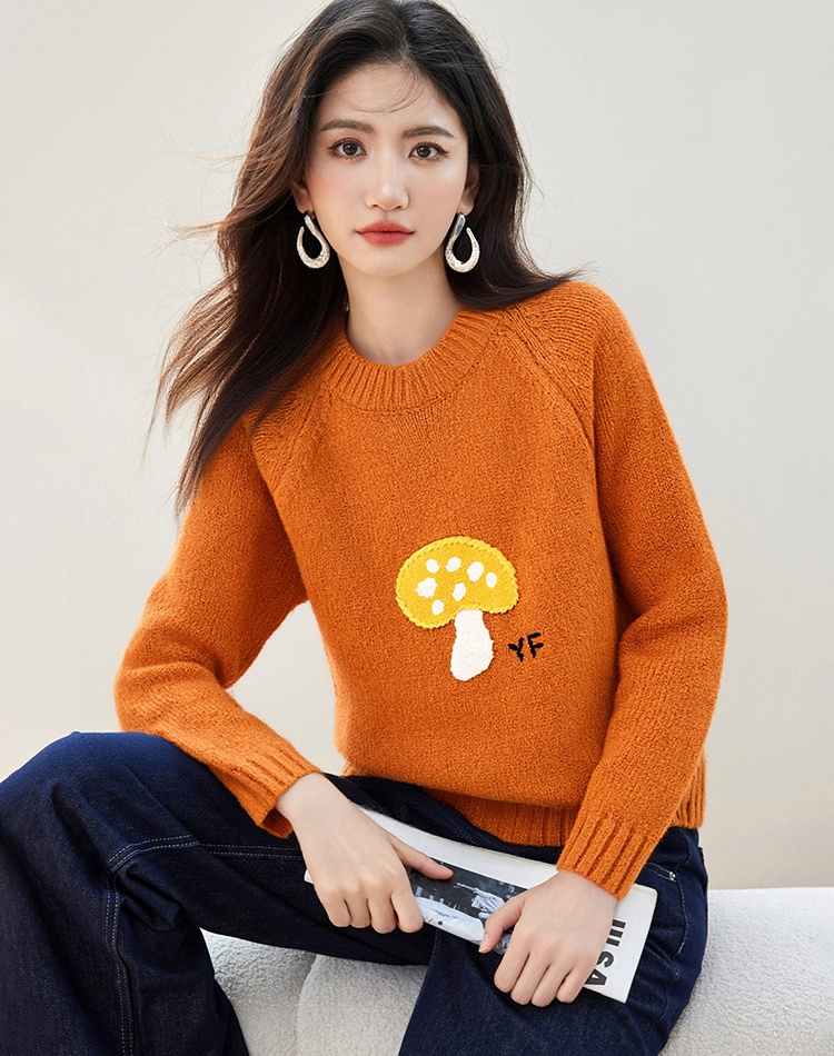 Round neck knitted show young sweater
