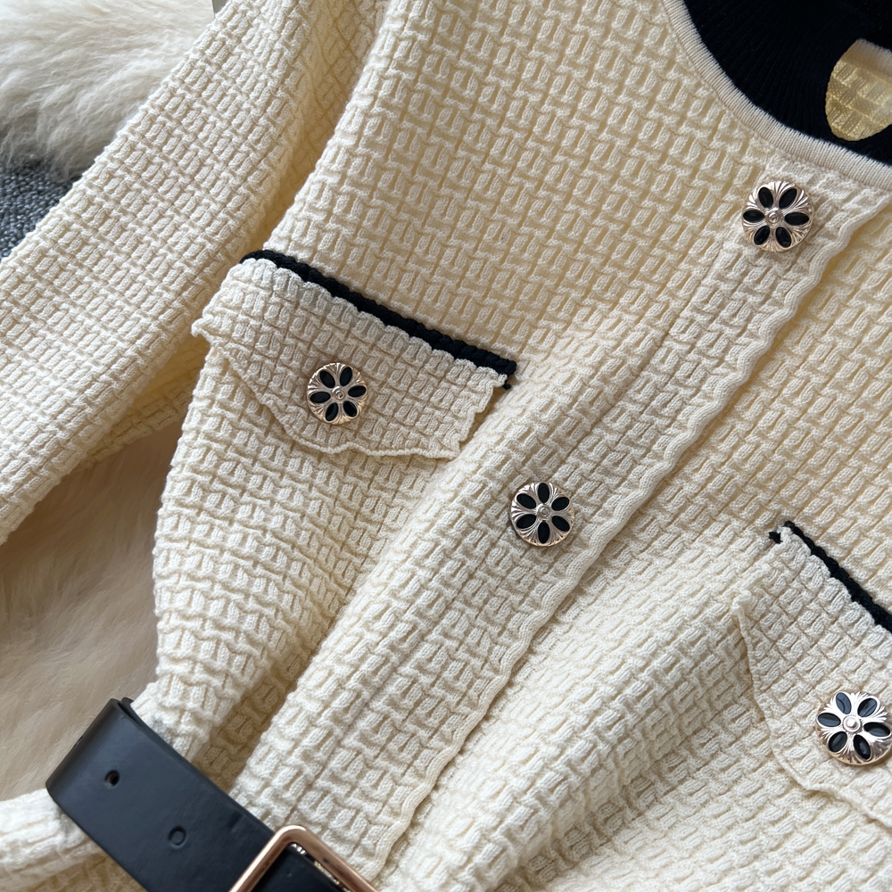 Autumn and winter dress sweater dress for women