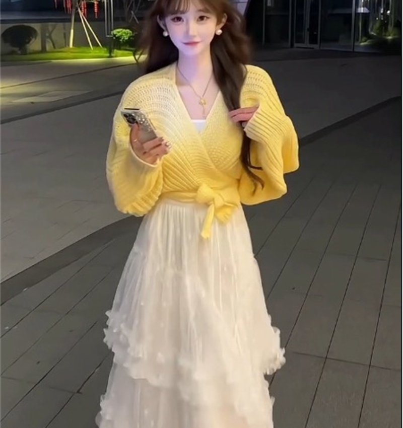 Temperament tender sweater high waist tops for women