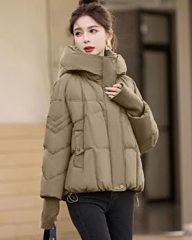 Fashion temperament autumn and winter Casual down coat