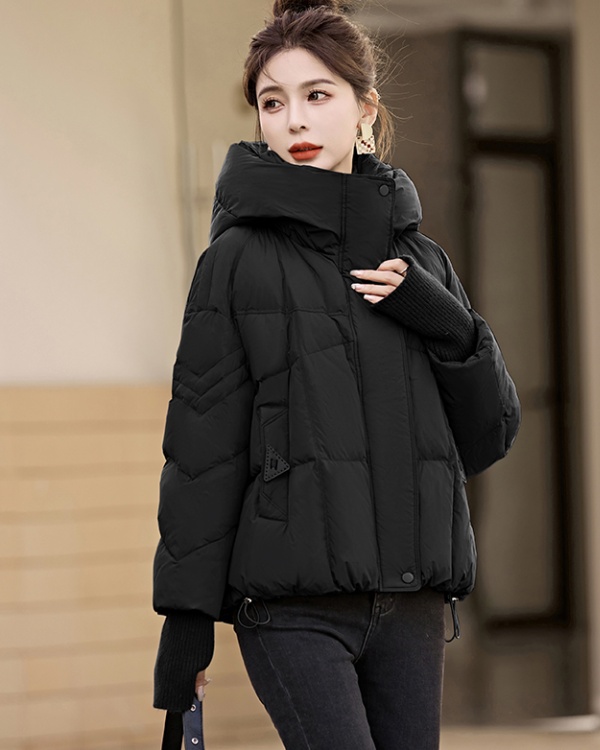 Fashion temperament autumn and winter Casual down coat