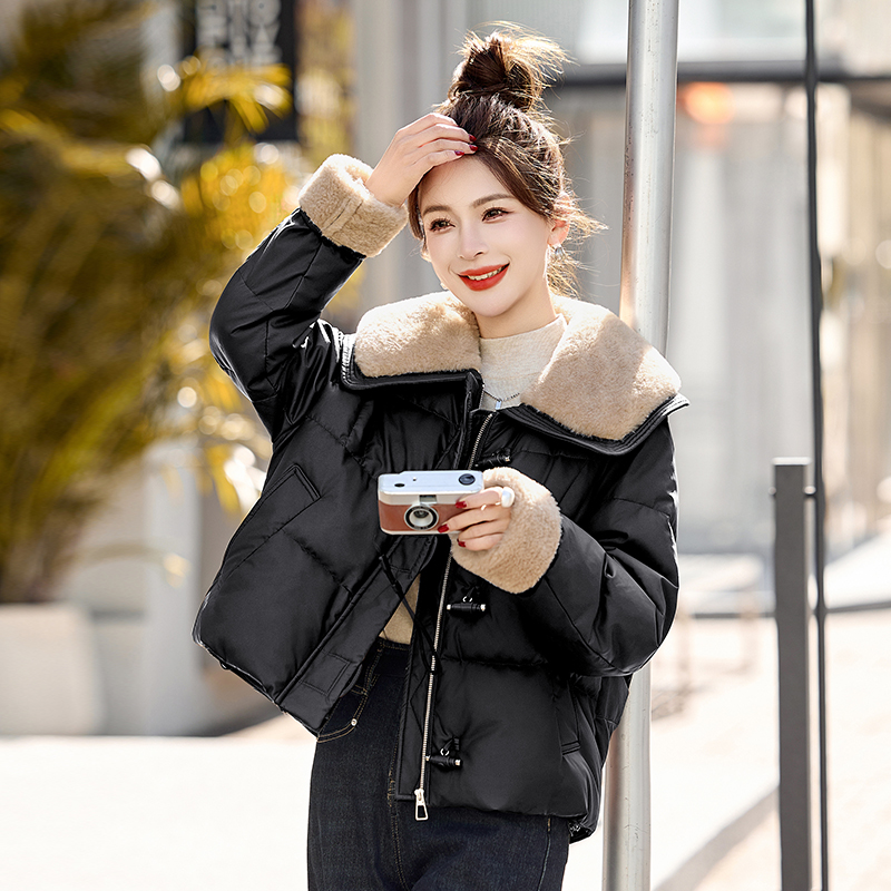 Duck down down coat coat for women