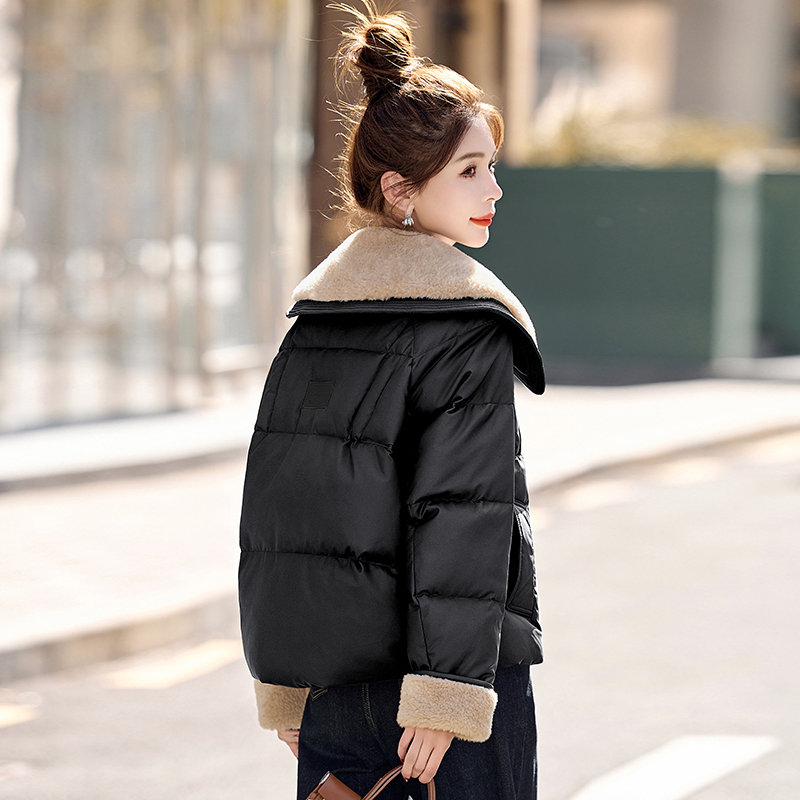 Duck down down coat coat for women