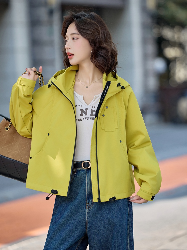 Light autumn Korean style jacket all-match fashion coat