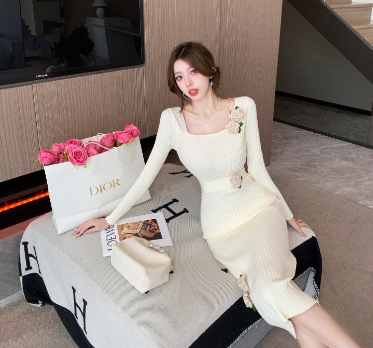 Sexy autumn and winter dress slim long dress for women