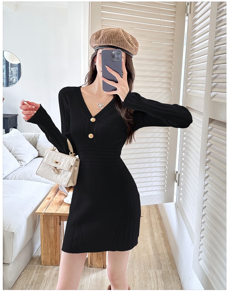Long sleeve V-neck temperament France style ladies dress