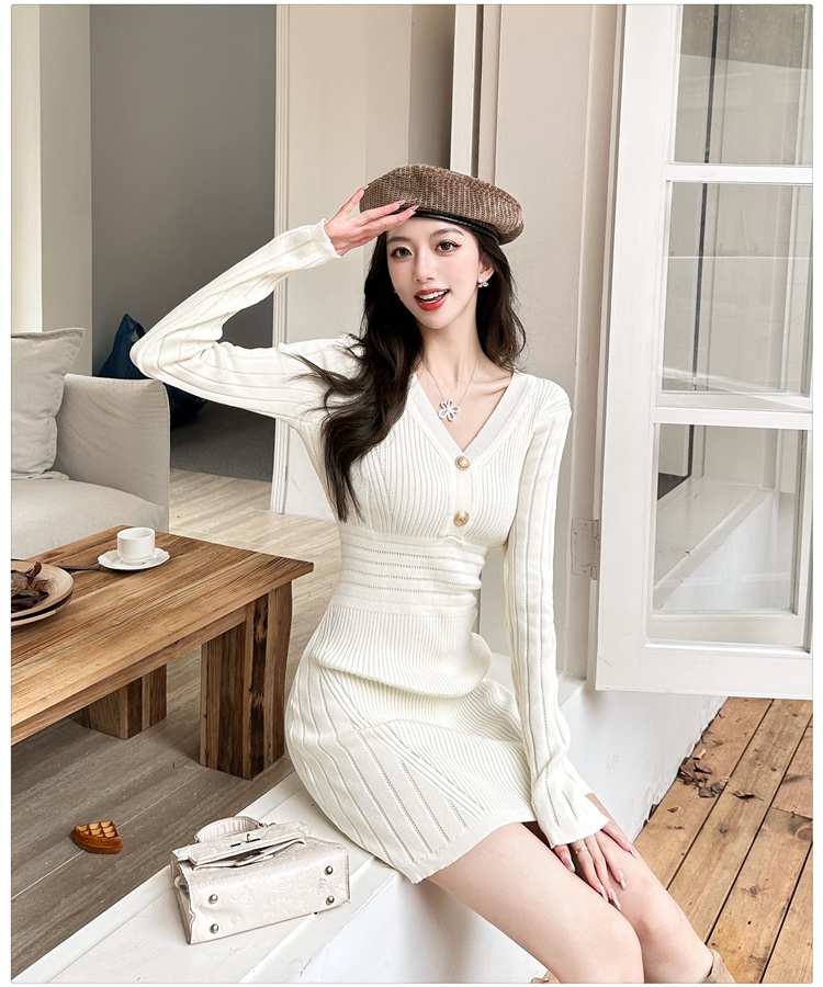 Long sleeve V-neck temperament France style ladies dress