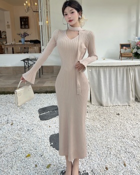 Package hip dress knitted long dress for women
