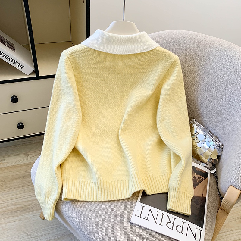 Pullover lapel sweater spring and autumn tops for women