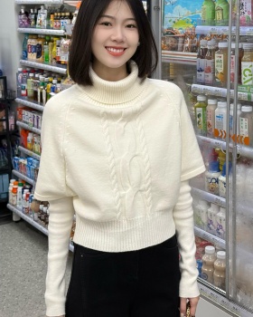 Autumn and winter bottoming shirt twist sweater 2pcs set