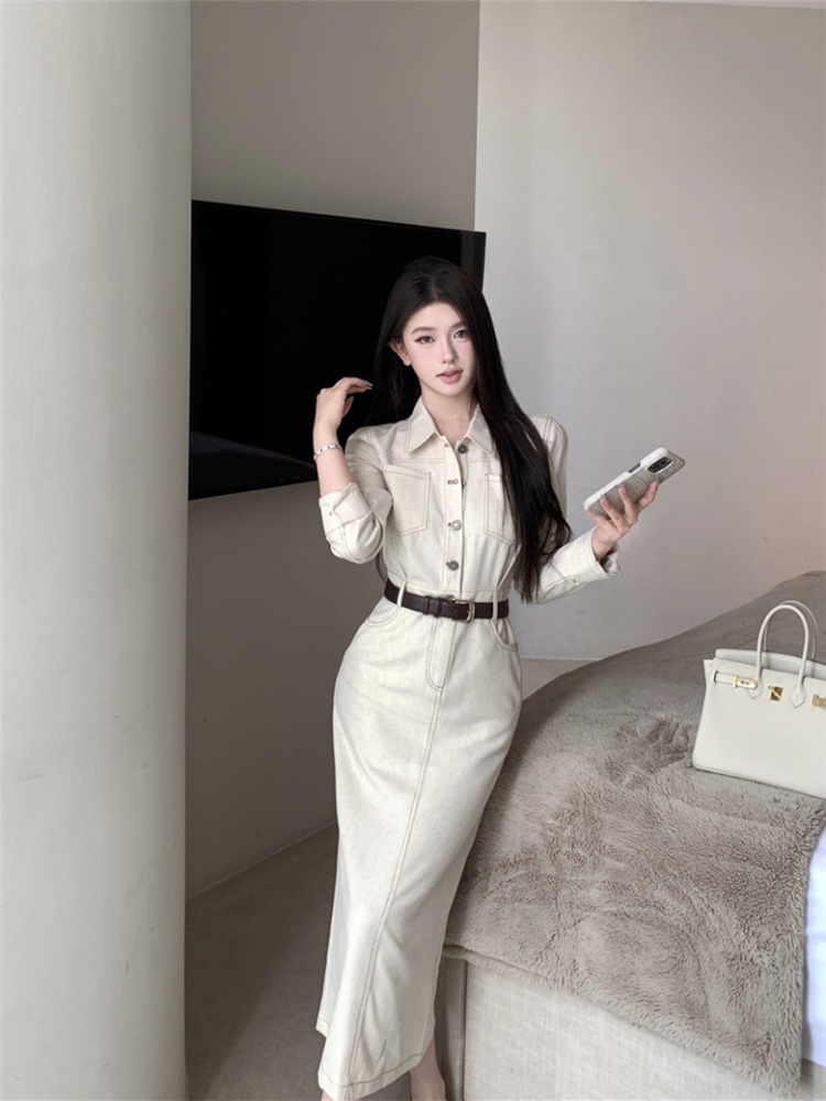 Pinched waist retro dress France style long dress for women