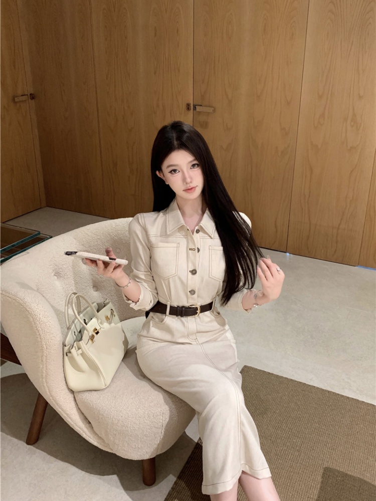 Pinched waist retro dress France style long dress for women