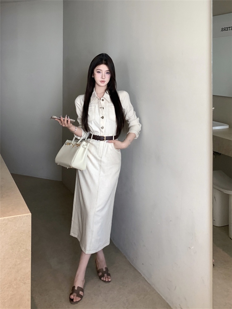 Pinched waist retro dress France style long dress for women