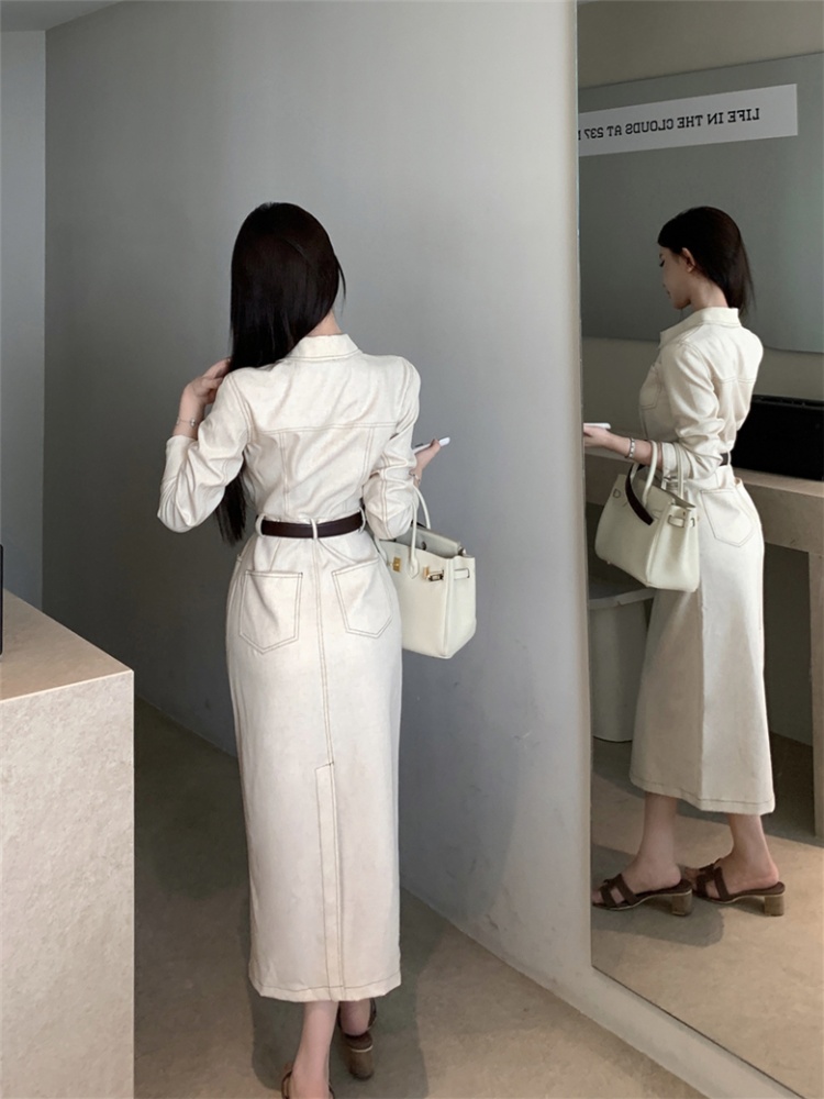 Pinched waist retro dress France style long dress for women