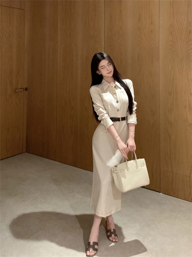 Pinched waist retro dress France style long dress for women