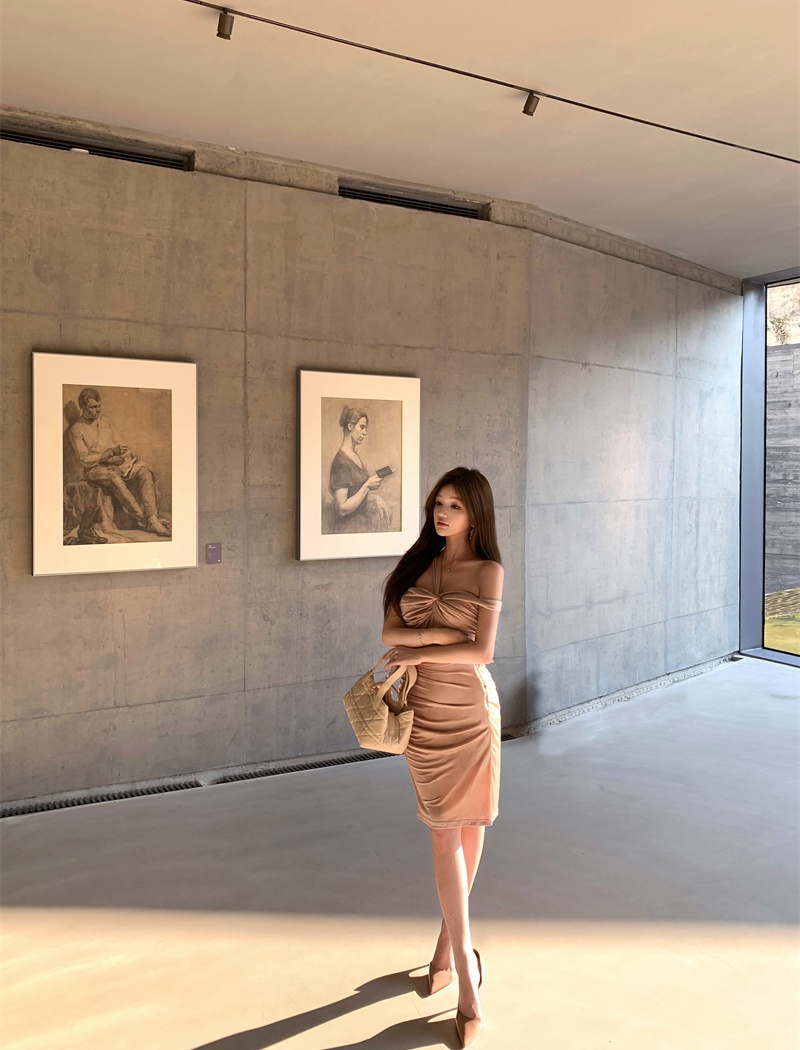 Temperament dress pinched waist formal dress for women