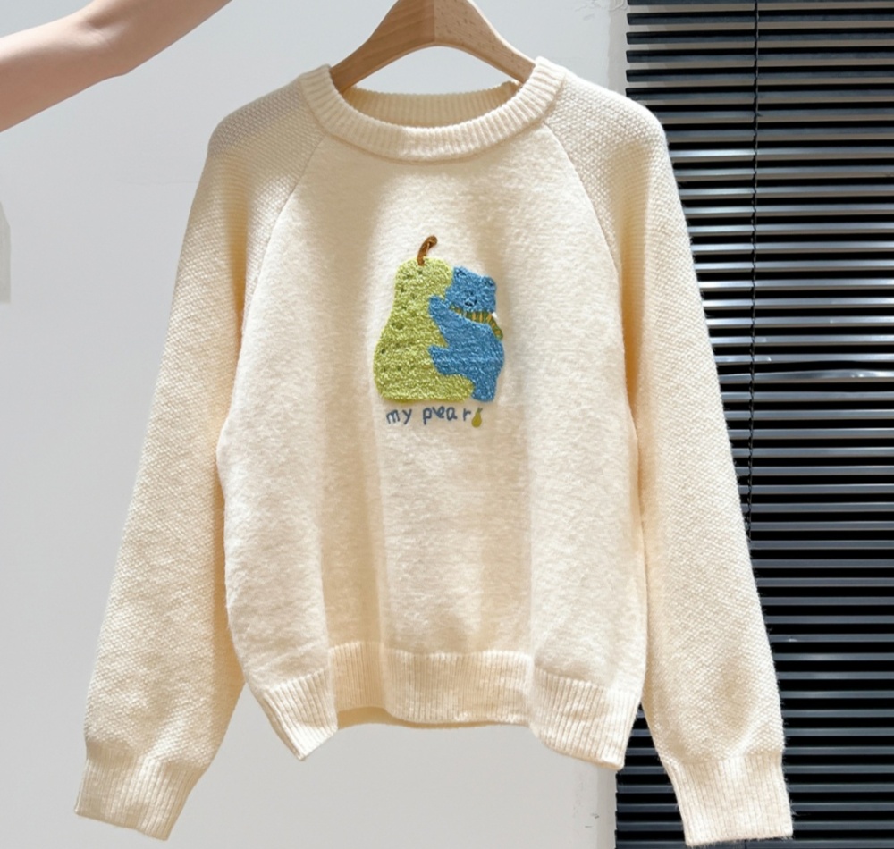 Cartoon sweater embroidery tops for women