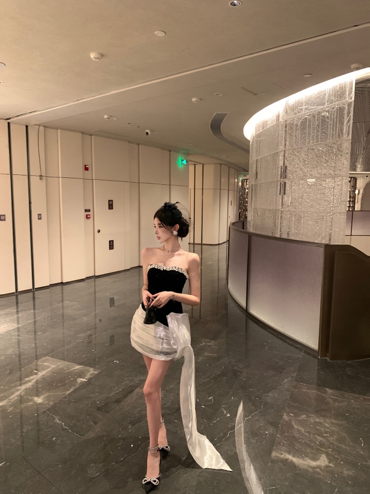 Package hip slim dress pinched waist formal dress