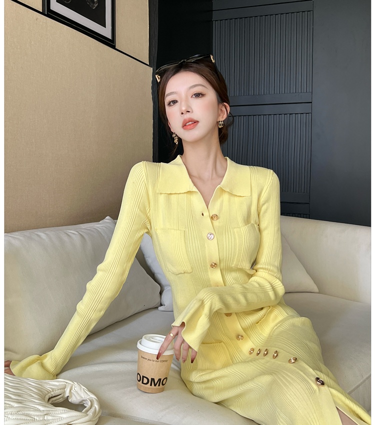 Knitted lapel long dress light luxury ladies dress
