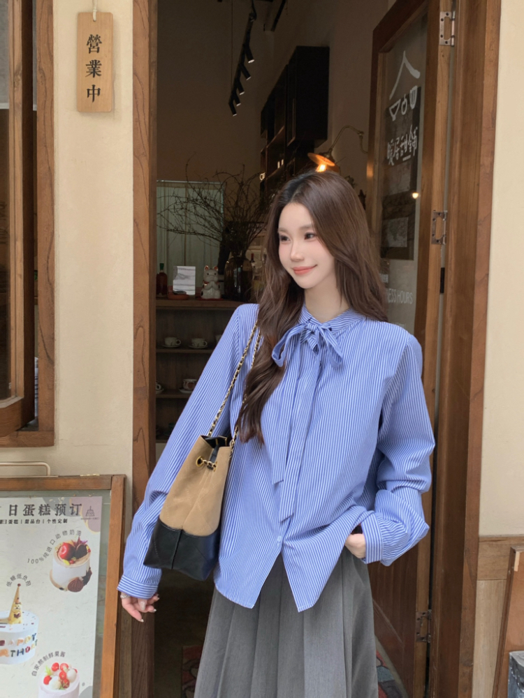 Loose commuting shirt frenum tops for women