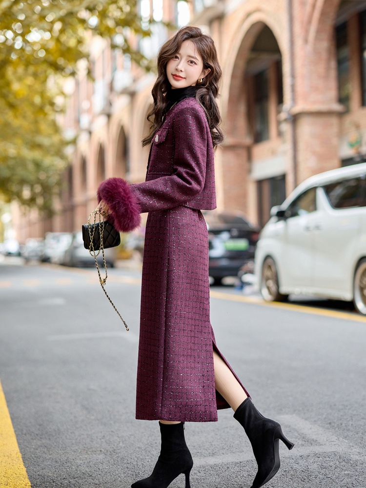 Thick plus velvet winter fox fur woolen down skirt 2pcs set