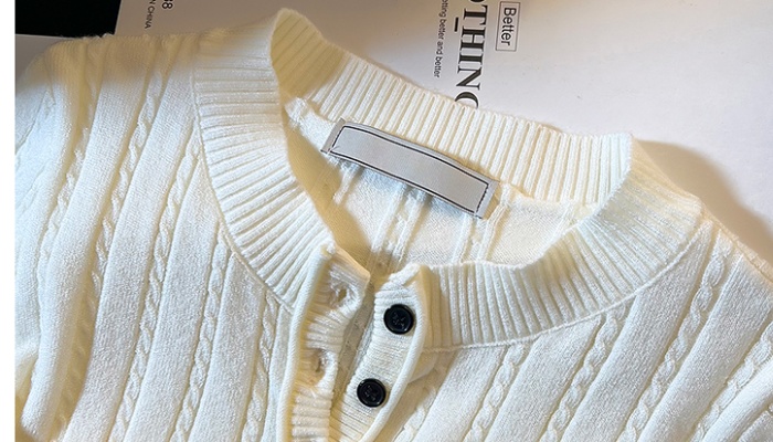 Spring tops all-match sweater