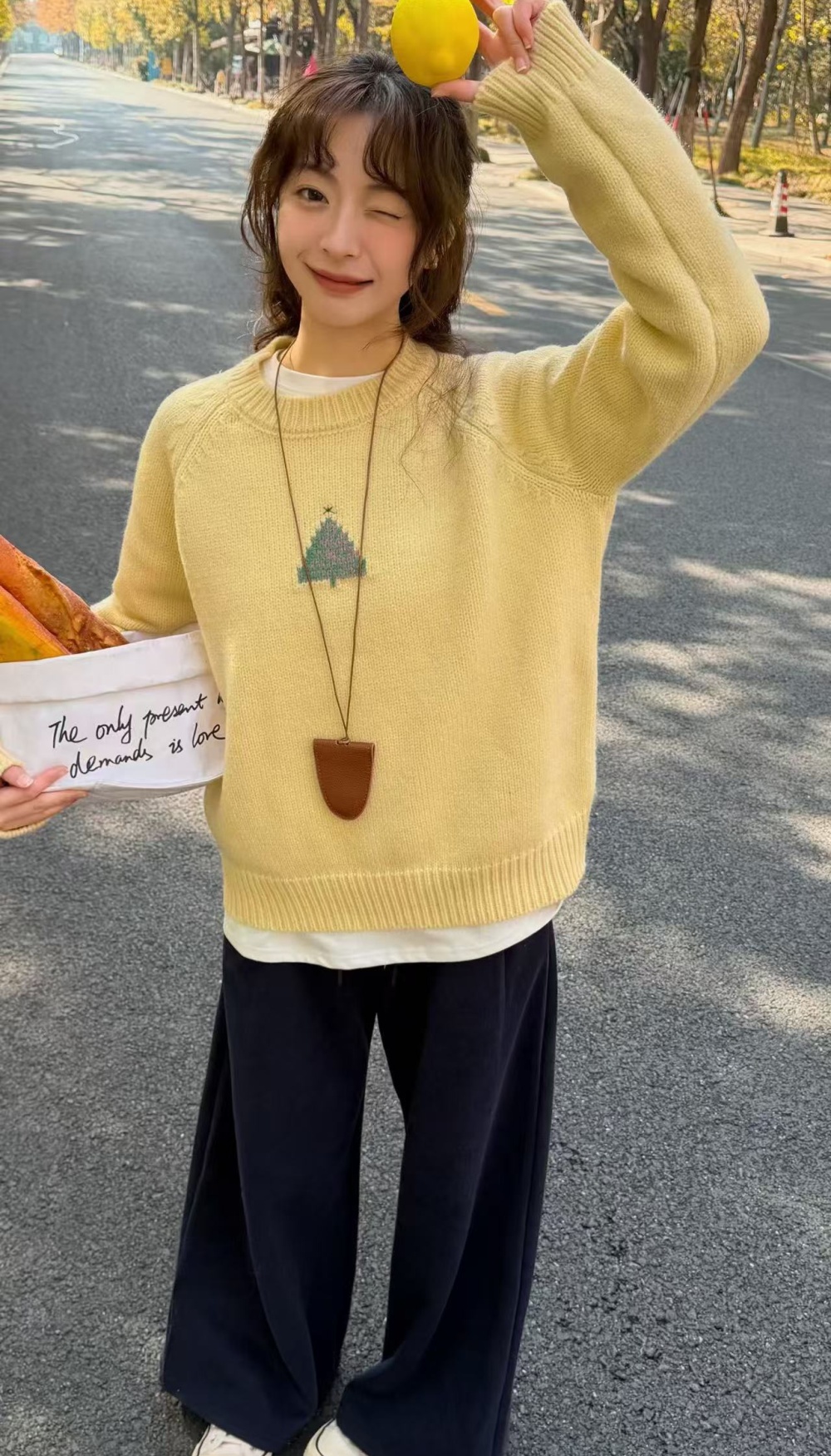 Jacquard loose sweater show young all-match tops for women