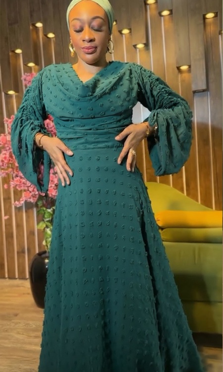 European style fold sleeve pinched waist elegant dress