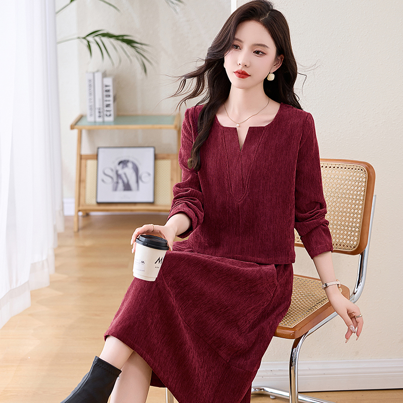 Spring show young fashion skirt 2pcs set for women