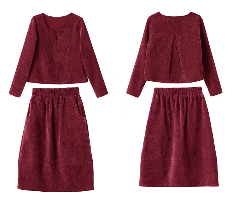 Spring show young fashion skirt 2pcs set for women