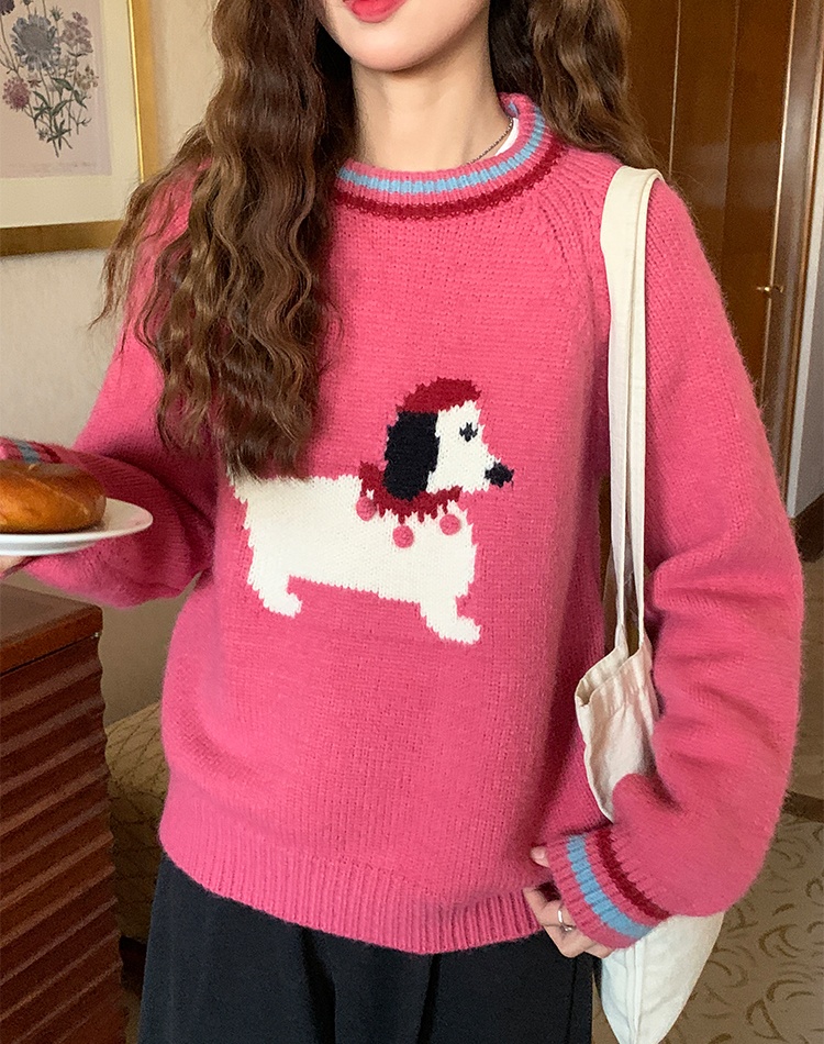 Lovely show young sweater puppy autumn and winter tops