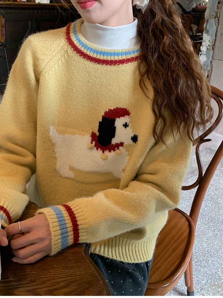 Lovely show young sweater puppy autumn and winter tops