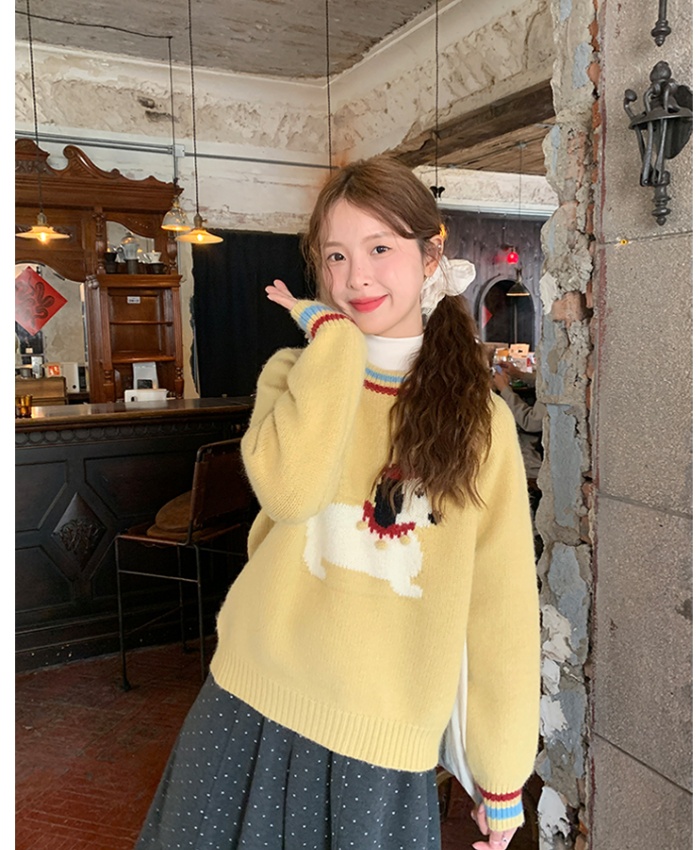 Lovely show young sweater puppy autumn and winter tops