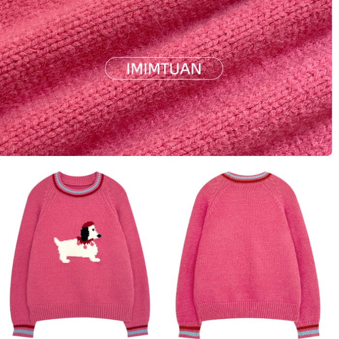 Lovely show young sweater puppy autumn and winter tops