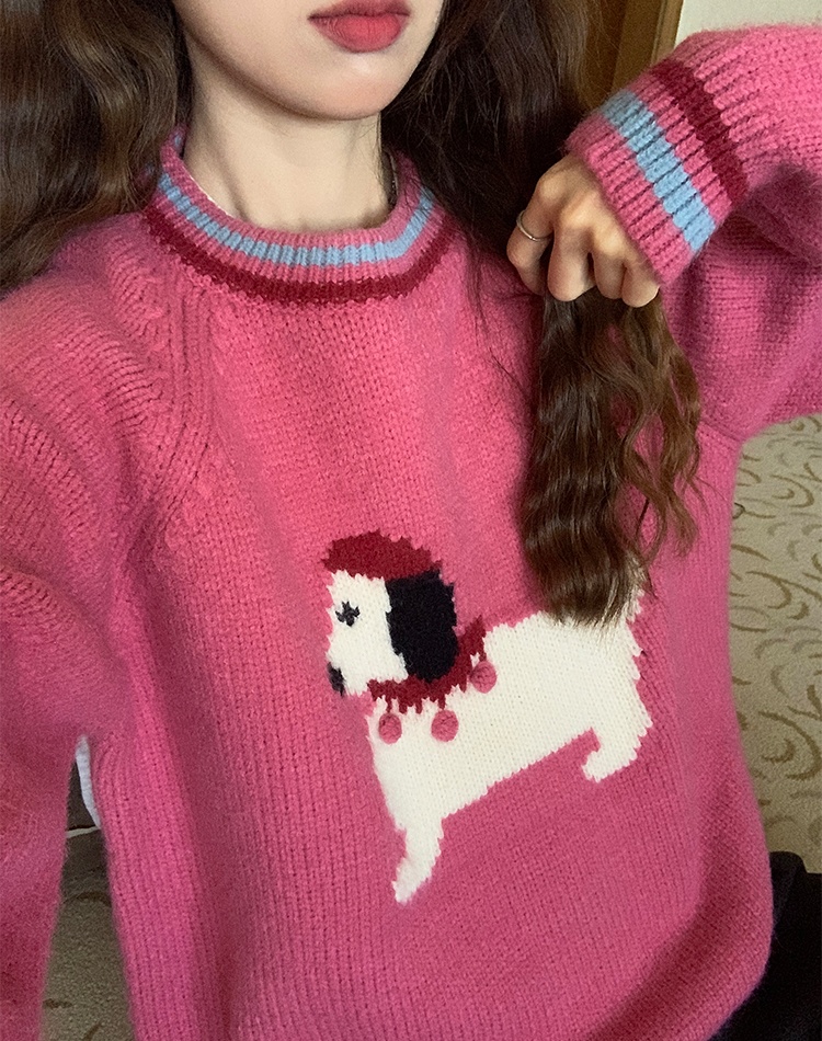 Lovely show young sweater puppy autumn and winter tops
