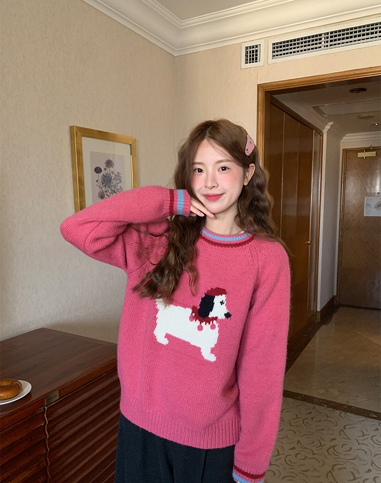 Lovely show young sweater puppy autumn and winter tops