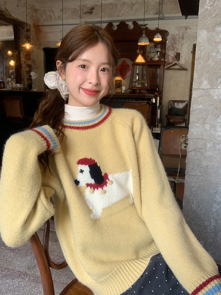 Lovely show young sweater puppy autumn and winter tops
